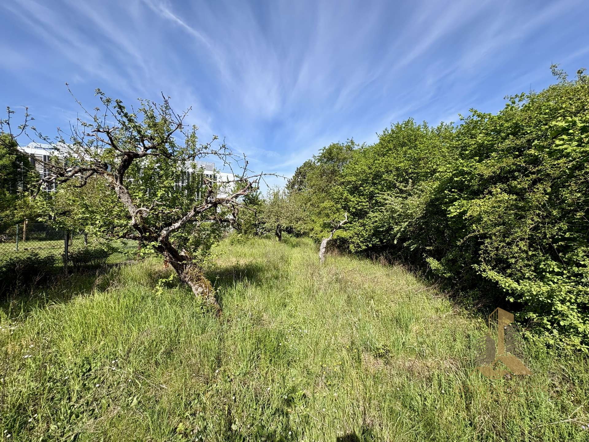 Blick zurück 2